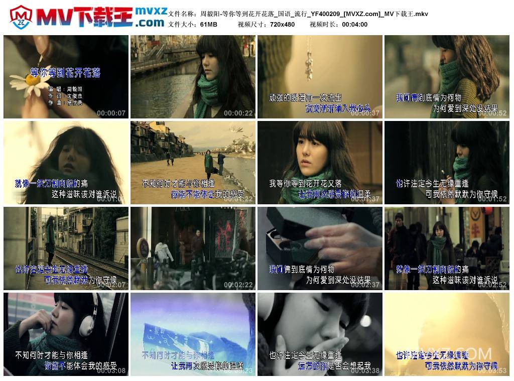 周毅阳-等你等到花开花落_国语_流行_YF400209